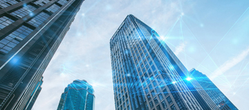 organization structure